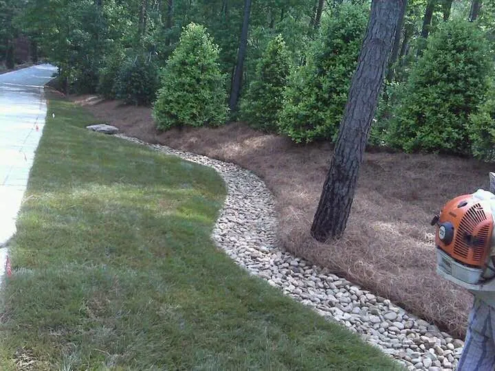 pine straw installation