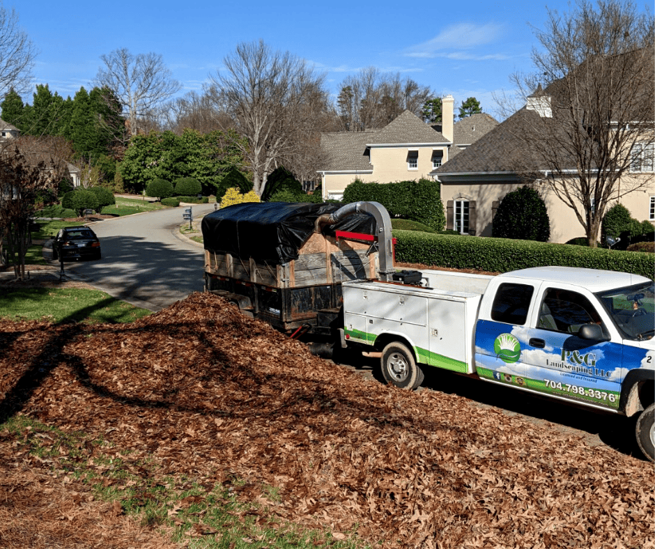 leaf removal