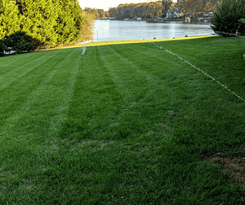 fertilization and weed control