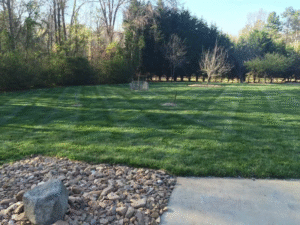 lawn maintenance services