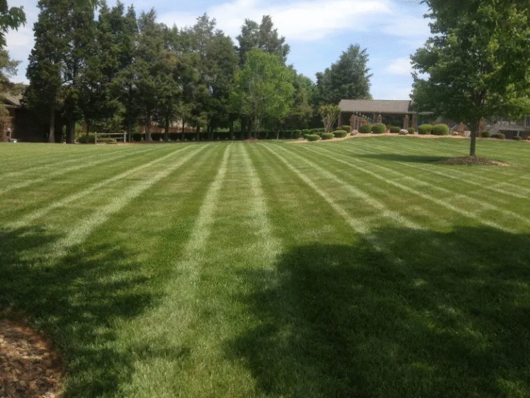 lawn maintenance services
