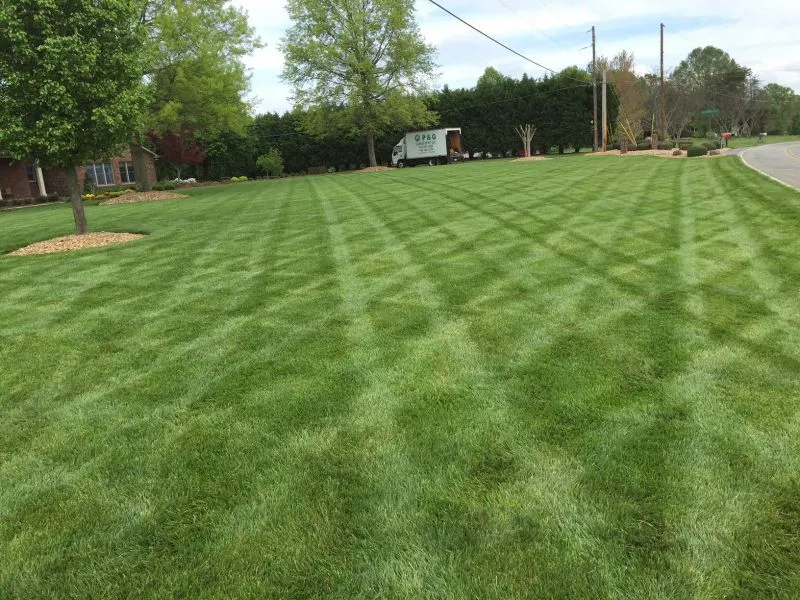 lawn maintenance services