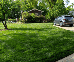 landscaping services