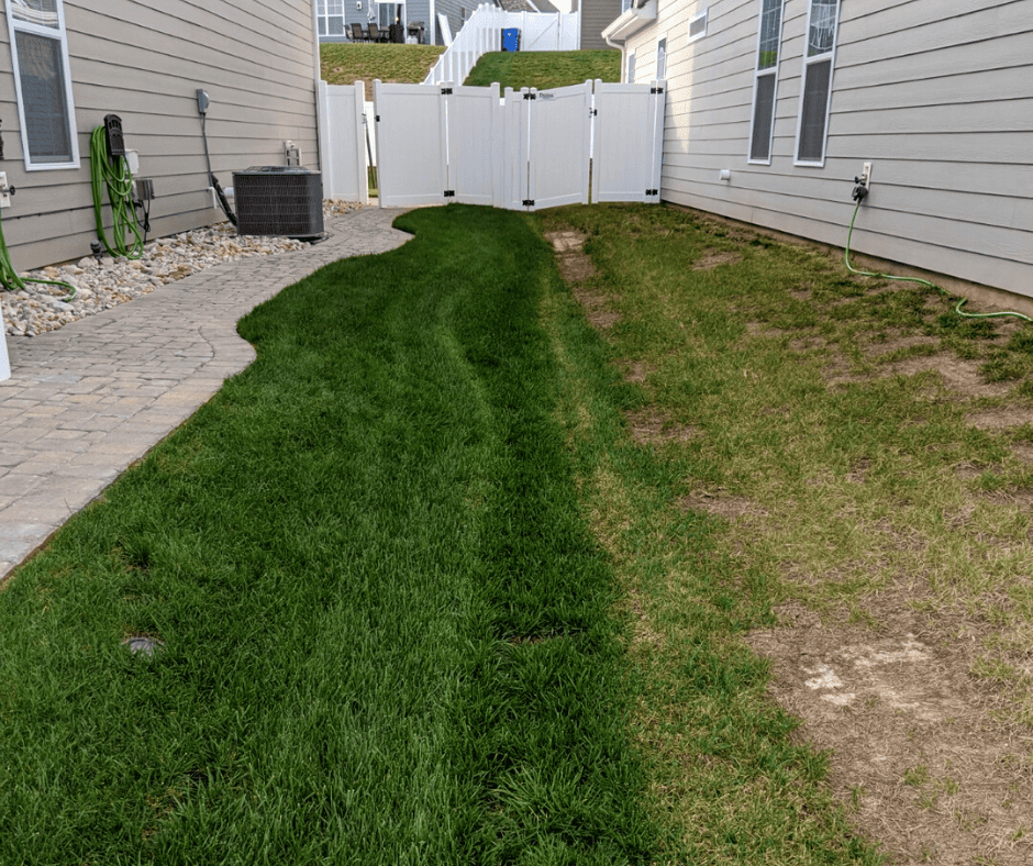 lawn care