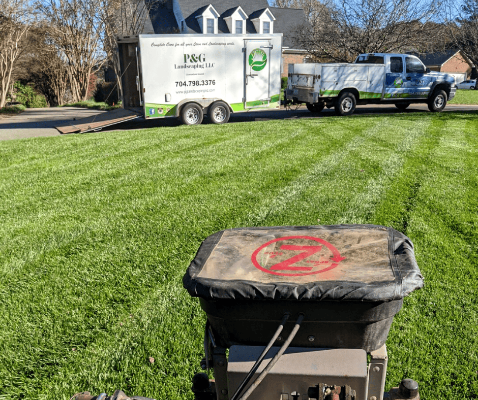 lawn care