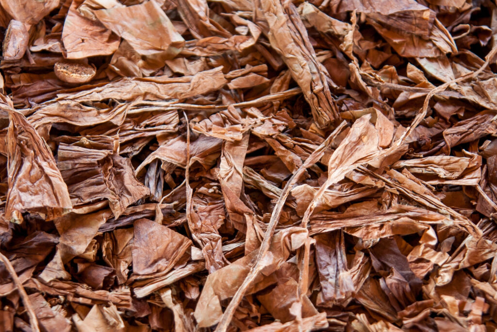 mulch installation