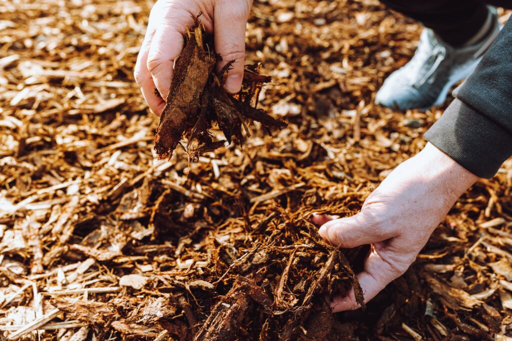 mulch installation