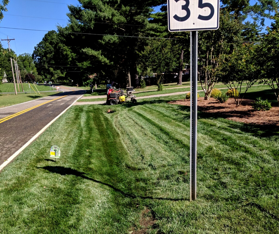aeration and overseeding
