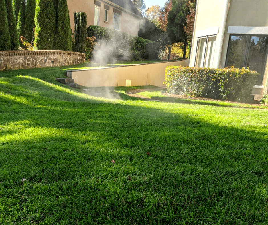 fertilization and weed control