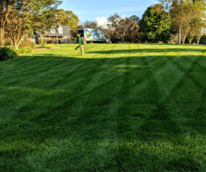 landscaping services