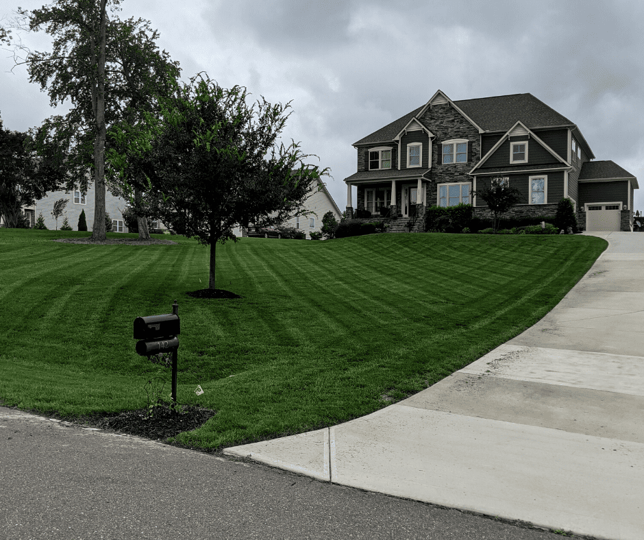 lawn care