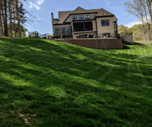 yard cleanup