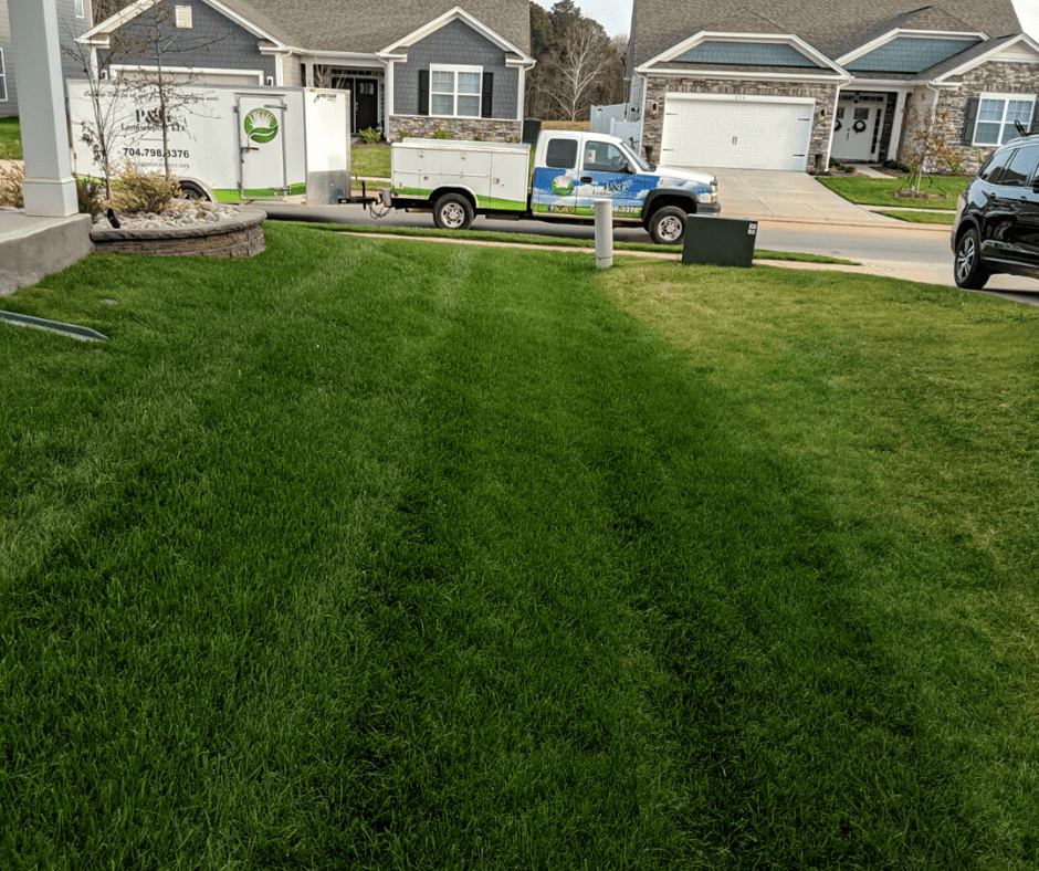 lawn care