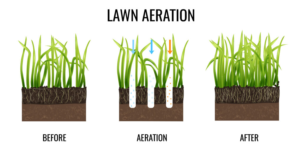 lawn care in Cornelius