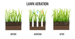 lawn care in Cornelius