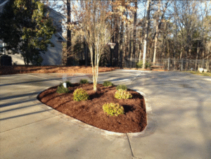 P&G Landscaping