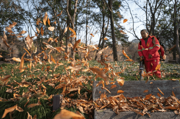 essential fall landscaping