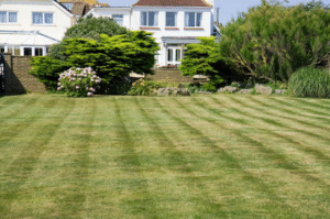 professional landscaping Mooresville services