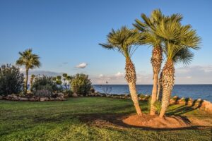 landscaping trends in North Carolina