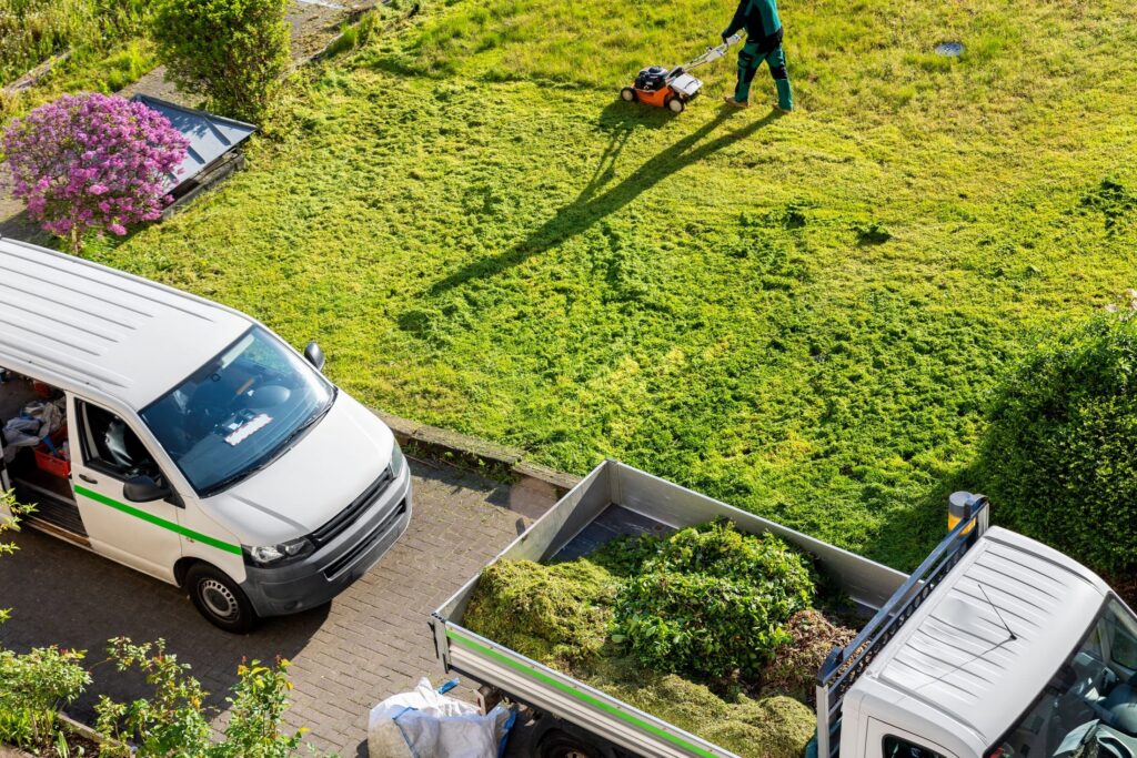 lawn care in mooresville