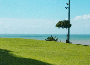 lawn care in Huntersville