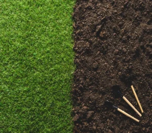 aeration and overseeding