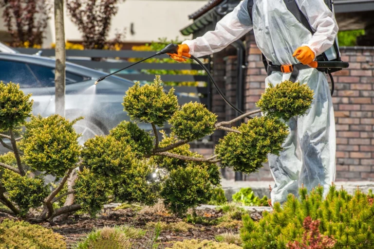 armyworm pest control