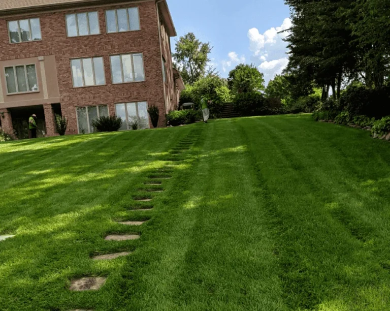 commercial landscaping service