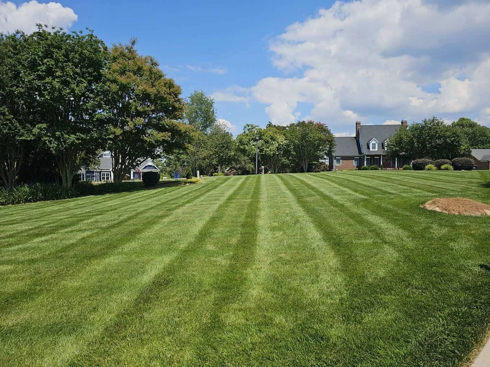 lawn care