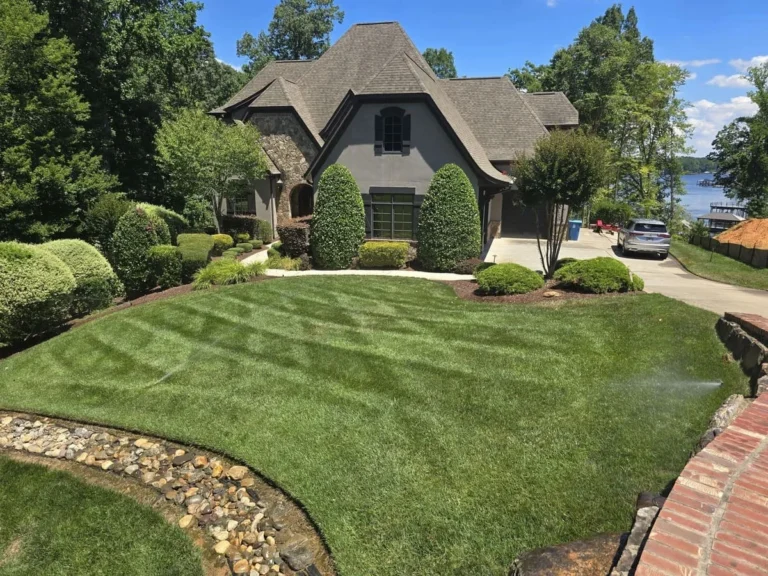 lawn maintenance services