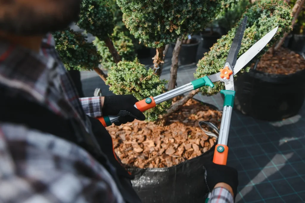 mulch installation in north carolina