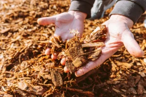 mulch installation in north carolina