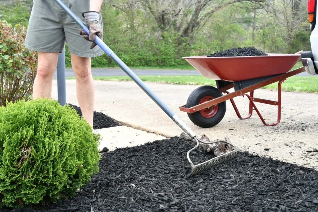 mulching techniques
