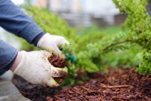 mulching techniques