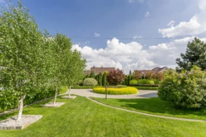 professional yard cleanup