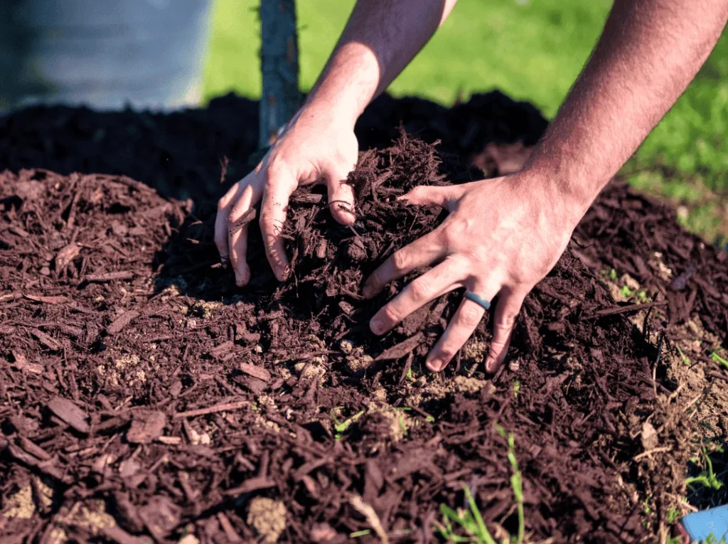 mulch installation in mooresville