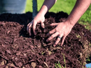 mulch installation in mooresville