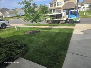 landscaping trends for 2026