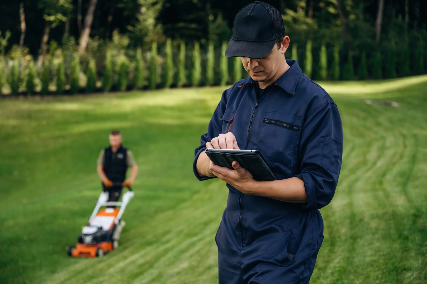 Curated visual reference: Picture Idea: Annual Lawn Care Plan In North Carolina