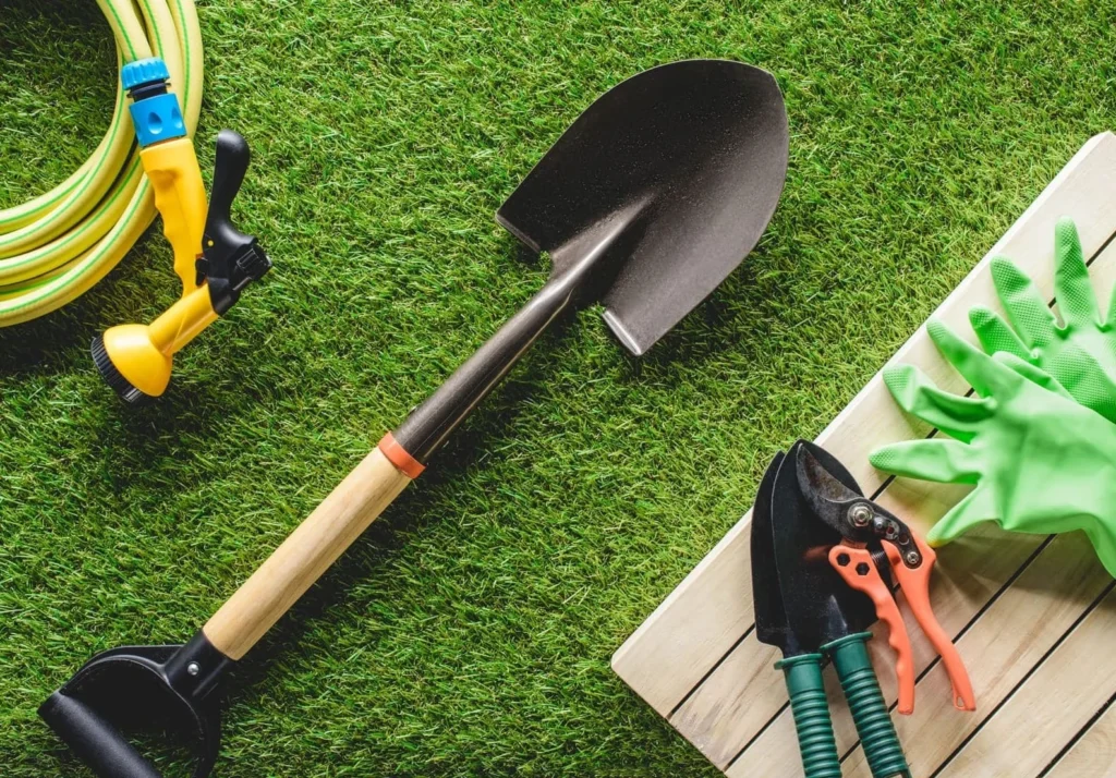 annual lawn care plan