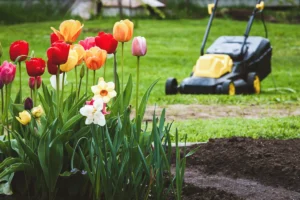 Spring Lawn Care, north carolina