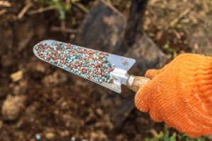 spring lawn fertilization