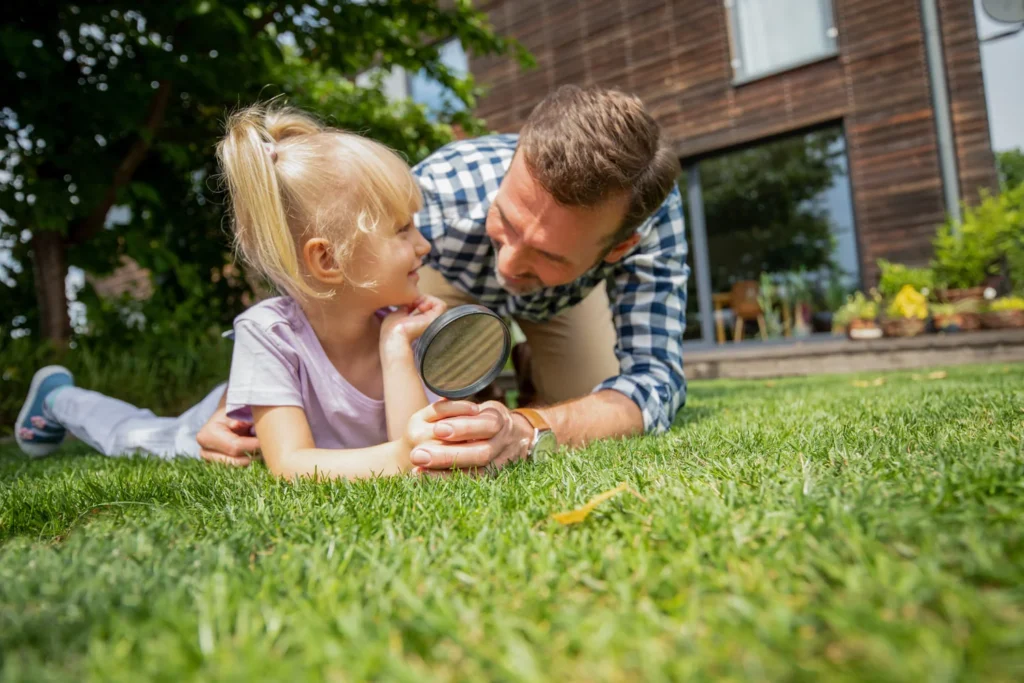 how to evaluate your lawn before the growing season