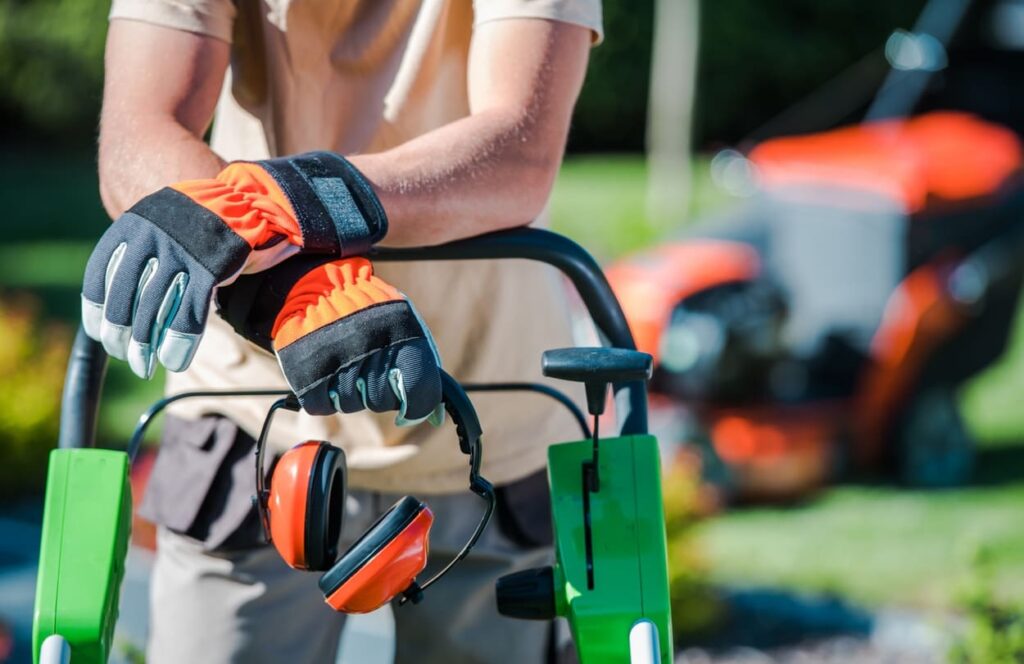 professional lawn care vs DIY peak season