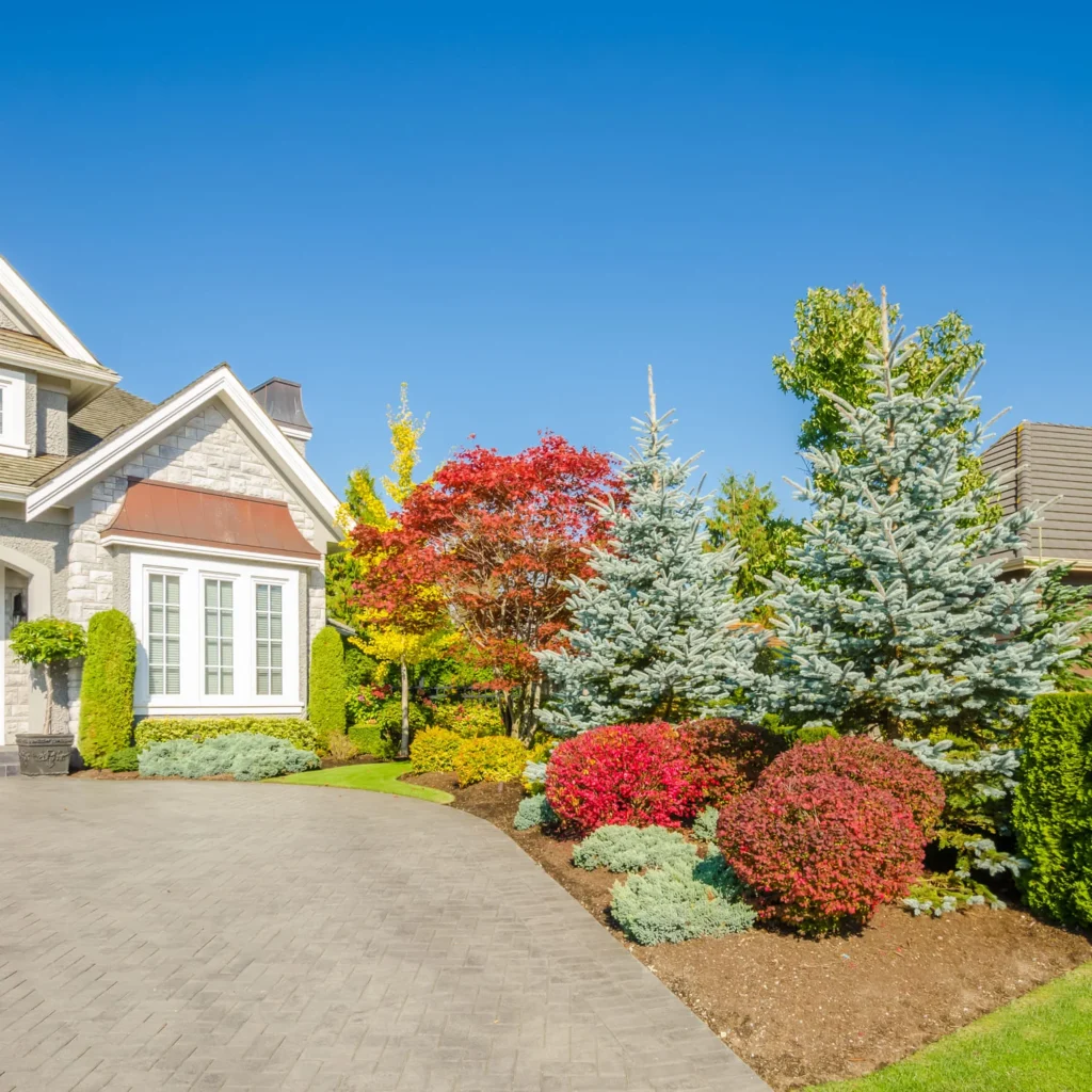 landscaping trends 2026