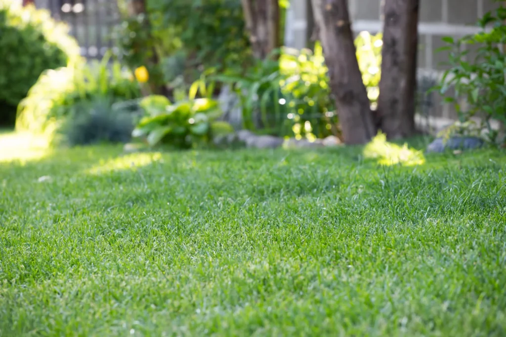 spring garden checklist