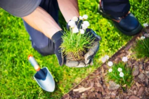 lawn care cost in Mooresville NC