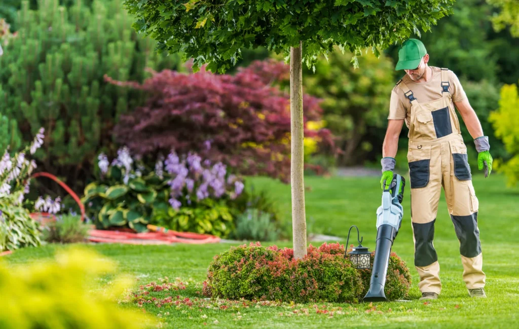 lawn care services in Mooresville NC