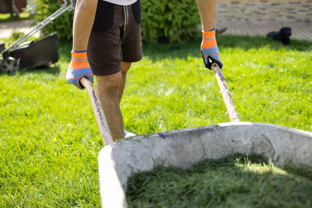 Weekly Lawn Maintenance