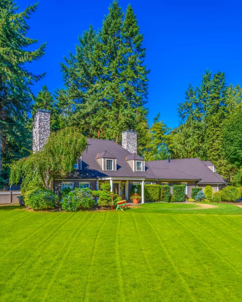 best lawn care company hustersville